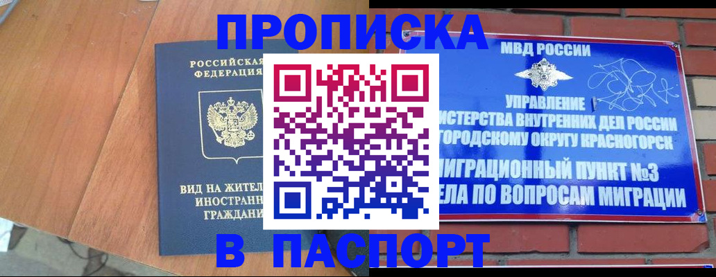 найти адрес прописки в Коле